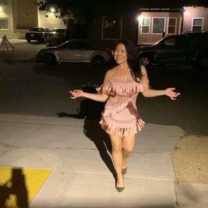 Pink Fringe beaded figure dress.